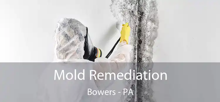 Mold Remediation Bowers - PA