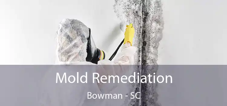 Mold Remediation Bowman - SC