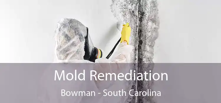 Mold Remediation Bowman - South Carolina