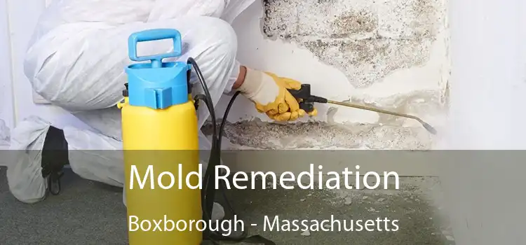 Mold Remediation Boxborough - Massachusetts