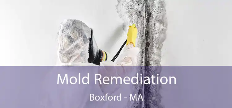 Mold Remediation Boxford - MA