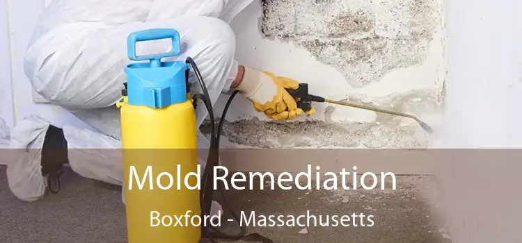 Mold Remediation Boxford - Massachusetts