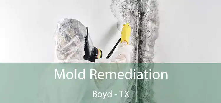 Mold Remediation Boyd - TX