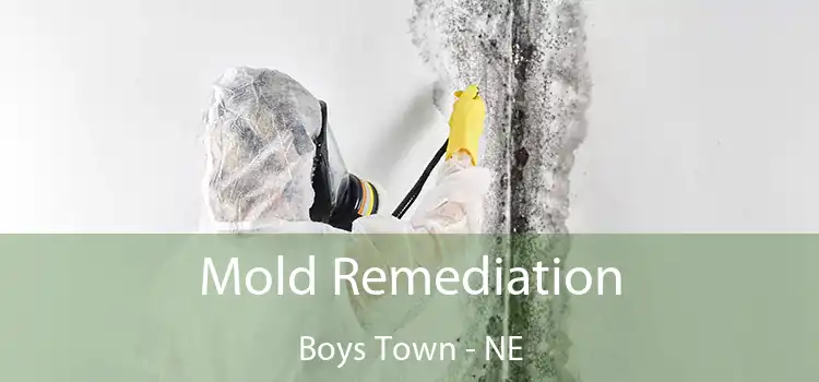 Mold Remediation Boys Town - NE