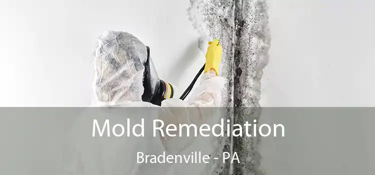 Mold Remediation Bradenville - PA