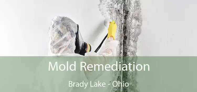 Mold Remediation Brady Lake - Ohio