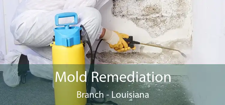 Mold Remediation Branch - Louisiana