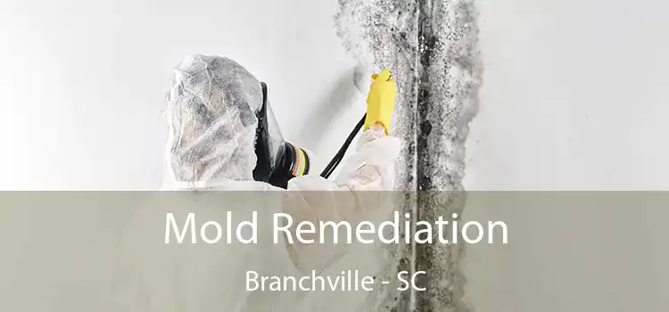 Mold Remediation Branchville - SC