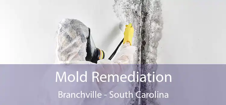 Mold Remediation Branchville - South Carolina