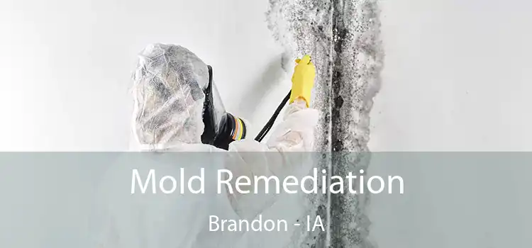 Mold Remediation Brandon - IA