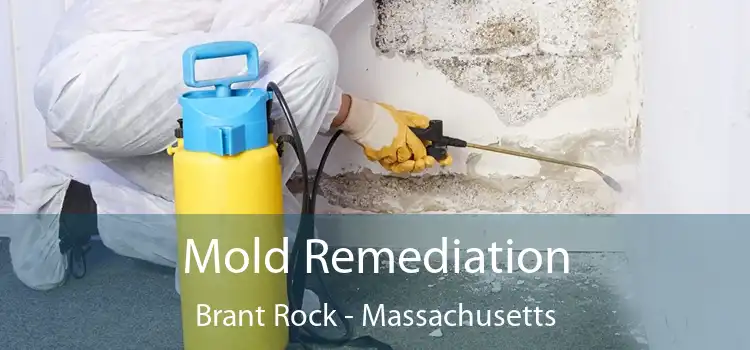 Mold Remediation Brant Rock - Massachusetts