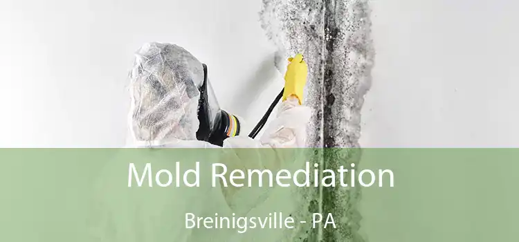 Mold Remediation Breinigsville - PA