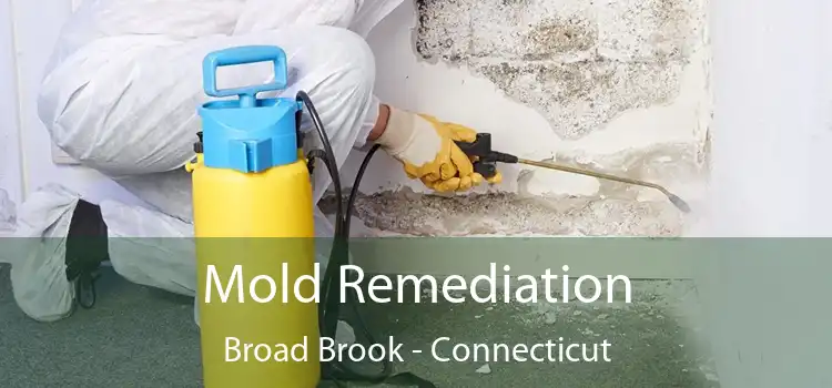 Mold Remediation Broad Brook - Connecticut