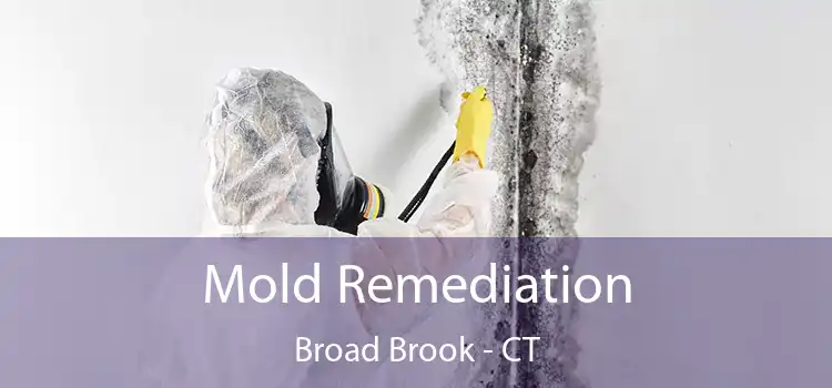 Mold Remediation Broad Brook - CT