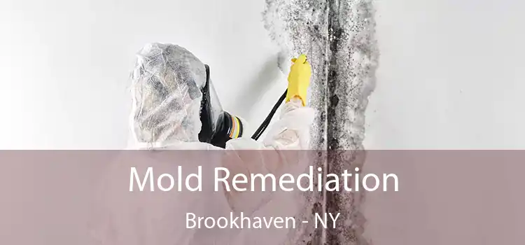 Mold Remediation Brookhaven - NY