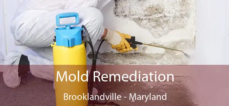 Mold Remediation Brooklandville - Maryland