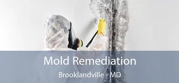 Mold Remediation Brooklandville - MD