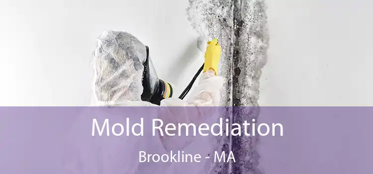 Mold Remediation Brookline - MA