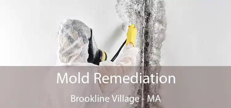 Mold Remediation Brookline Village - MA