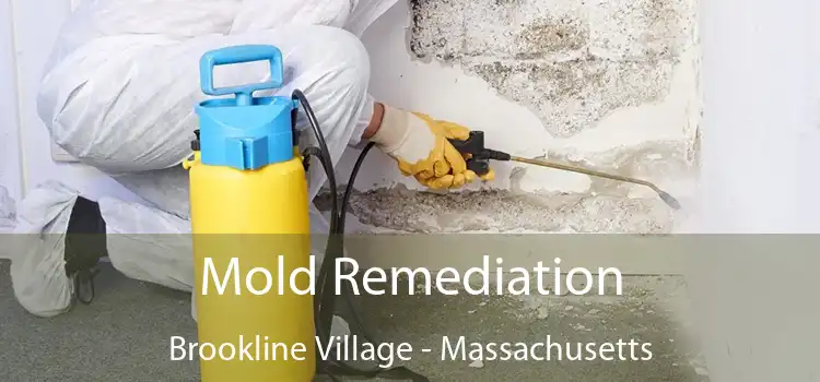 Mold Remediation Brookline Village - Massachusetts