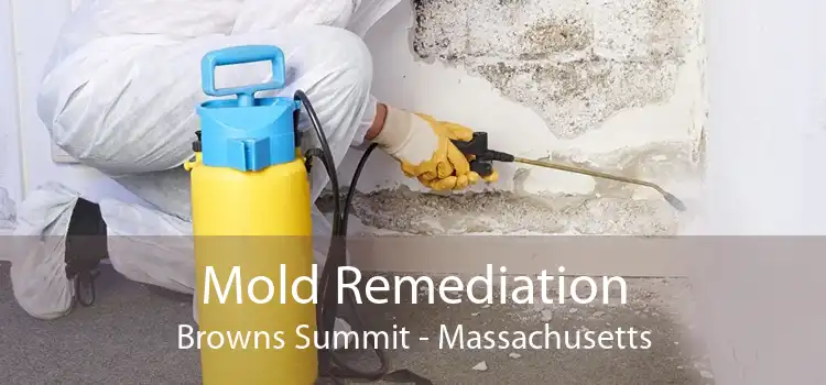 Mold Remediation Browns Summit - Massachusetts