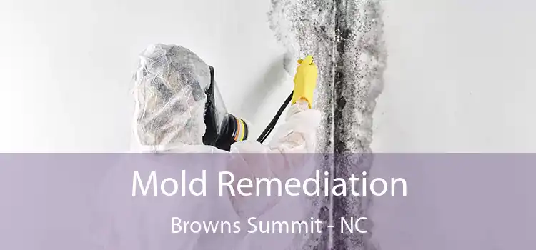 Mold Remediation Browns Summit - NC