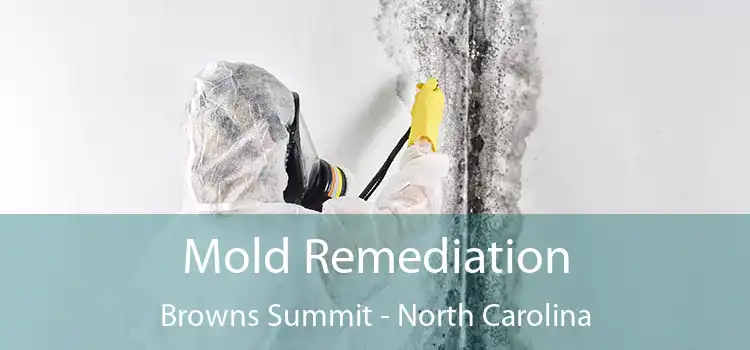 Mold Remediation Browns Summit - North Carolina