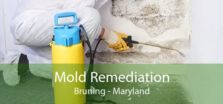 Mold Remediation Bruning - Maryland