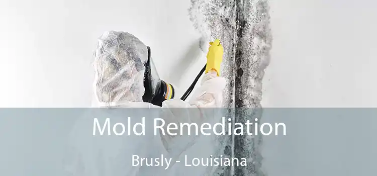 Mold Remediation Brusly - Louisiana