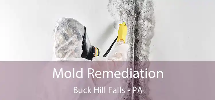 Mold Remediation Buck Hill Falls - PA