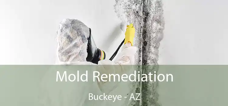 Mold Remediation Buckeye - AZ