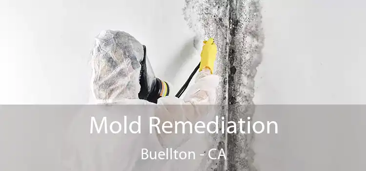 Mold Remediation Buellton - CA