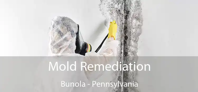 Mold Remediation Bunola - Pennsylvania