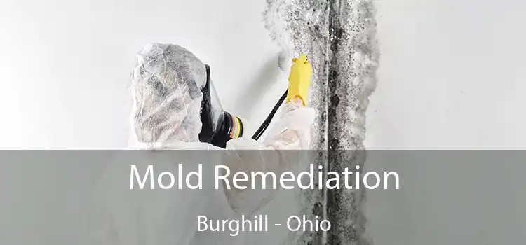 Mold Remediation Burghill - Ohio