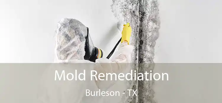 Mold Remediation Burleson - TX