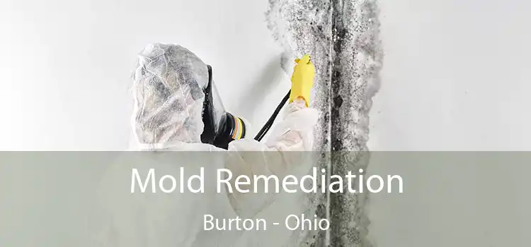 Mold Remediation Burton - Ohio