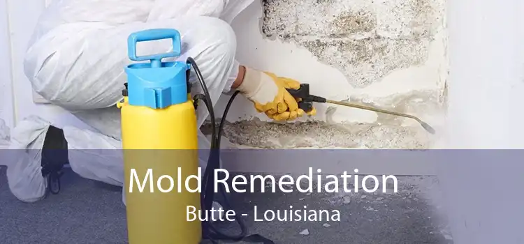 Mold Remediation Butte - Louisiana