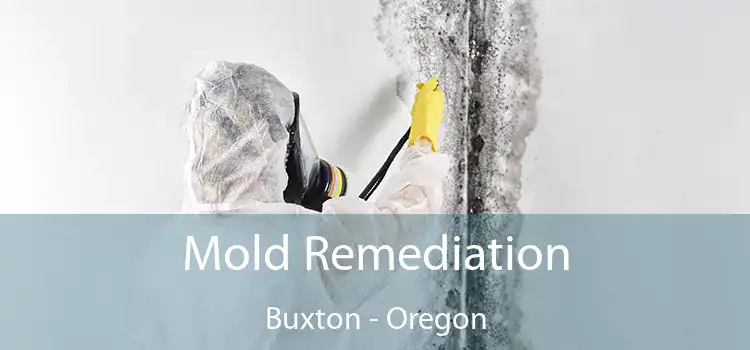 Mold Remediation Buxton - Oregon