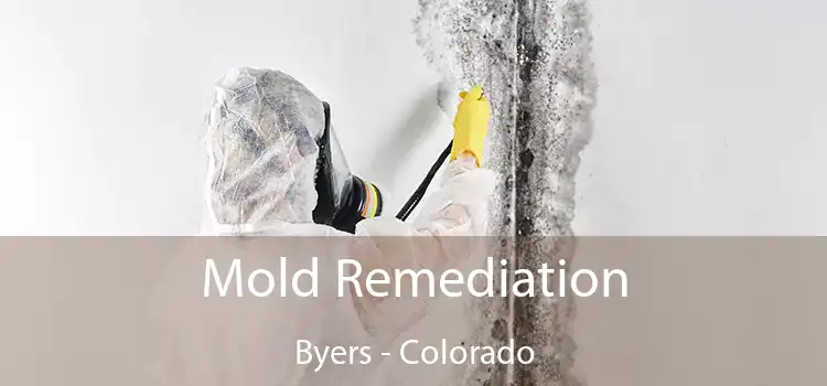 Mold Remediation Byers - Colorado