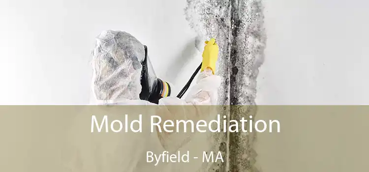 Mold Remediation Byfield - MA