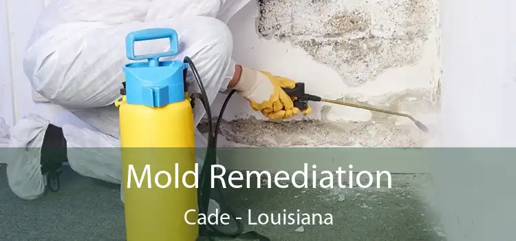 Mold Remediation Cade - Louisiana