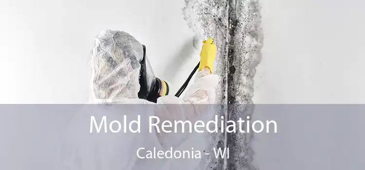 Mold Remediation Caledonia - WI