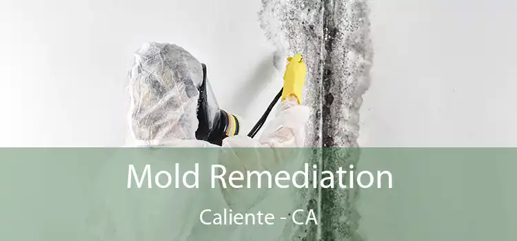 Mold Remediation Caliente - CA