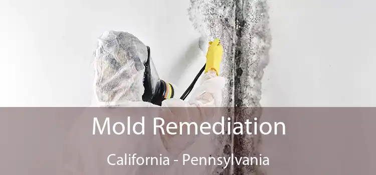 Mold Remediation California - Pennsylvania