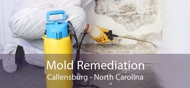 Mold Remediation Callensburg - North Carolina