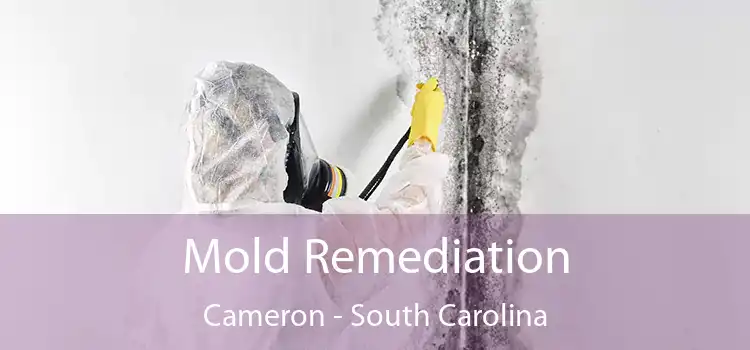 Mold Remediation Cameron - South Carolina