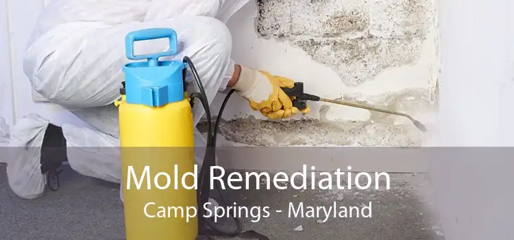 Mold Remediation Camp Springs - Maryland