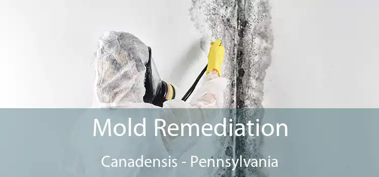 Mold Remediation Canadensis - Pennsylvania