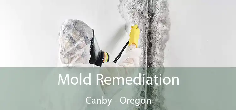 Mold Remediation Canby - Oregon