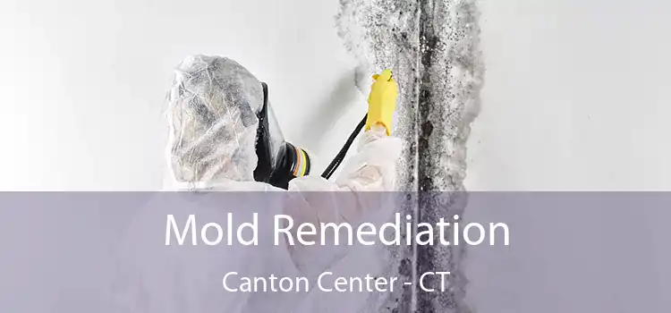 Mold Remediation Canton Center - CT